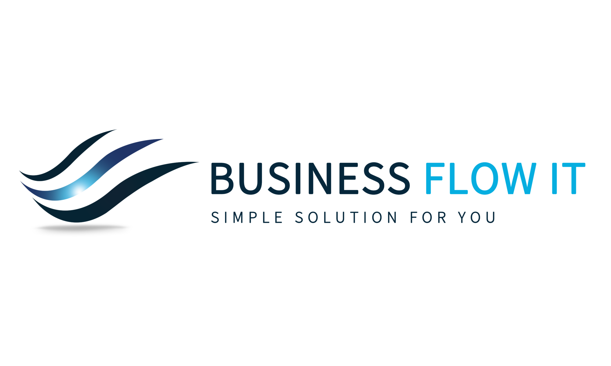 Business Flow IT Logo